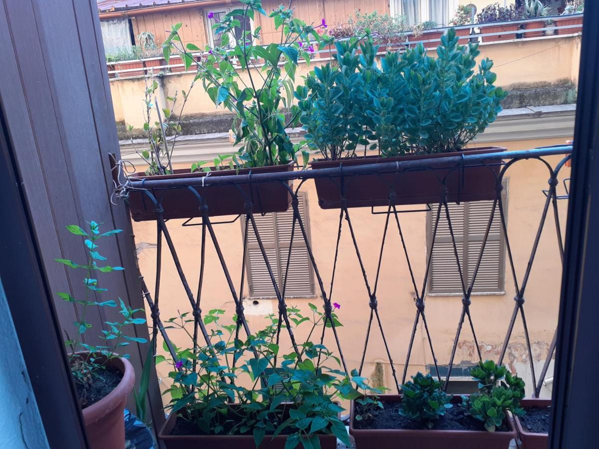 Napoleone Luxury Home Roma Zewnętrze zdjęcie